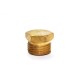 Brass Plug Adapter Hex Male End.